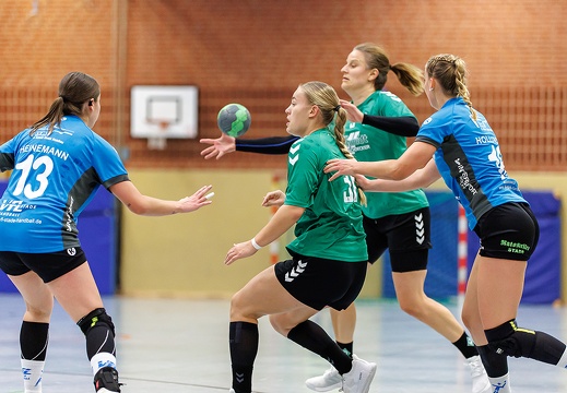Handball VfL Stade